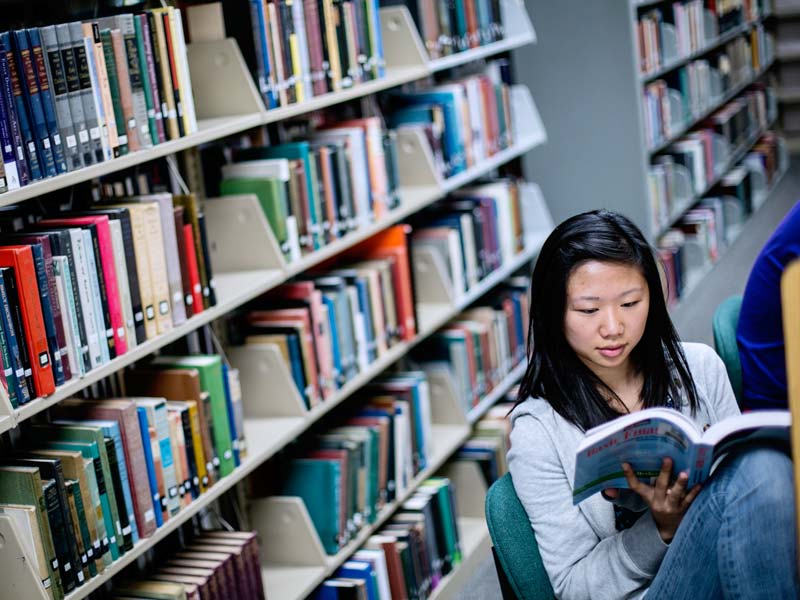Students reading in the Library